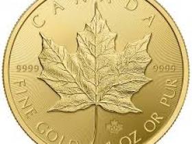 加拿大股票账户类型有哪几种?每种账户有什么区别?如何选择?